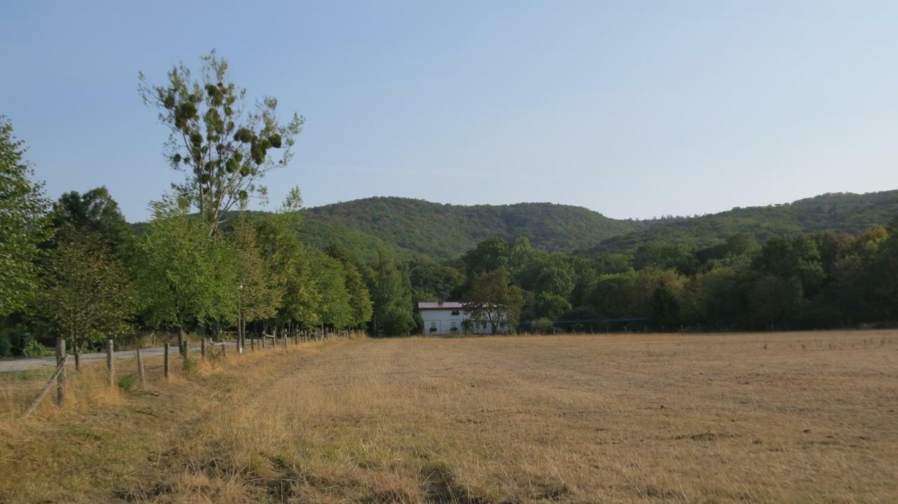 Ferienwohnung Wolfsholz Wernigerode Kültér fotó